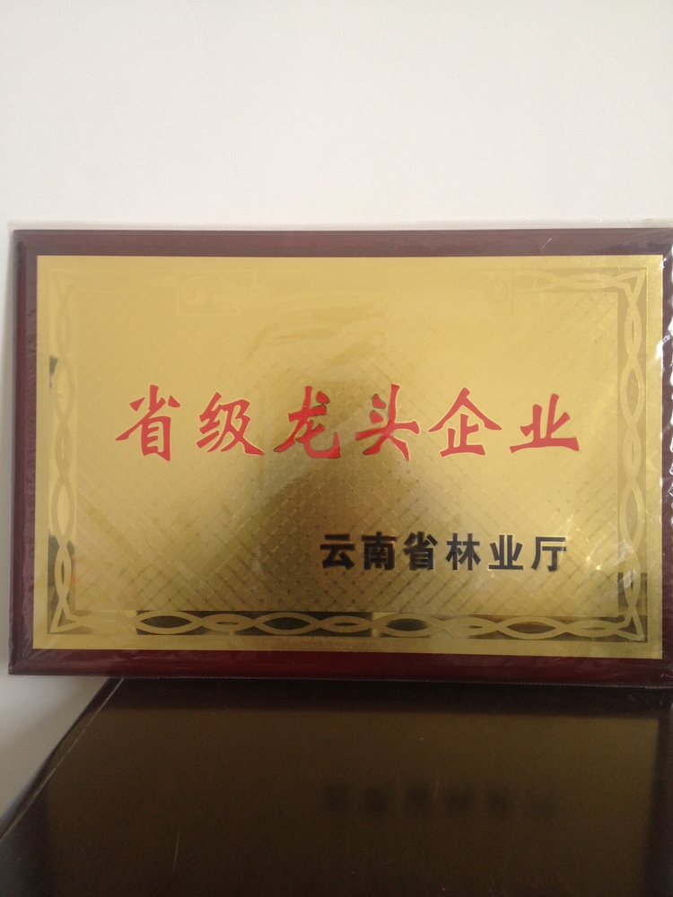 照片 215.jpg